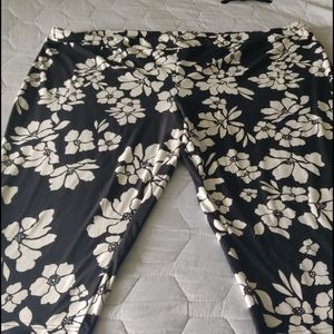 Brand new size 5X Terra Sky Super soft CAPRI pants